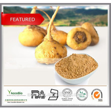 Natural Maca Root P.E. 10:1,20:1/ Maca Extract powder for men's health